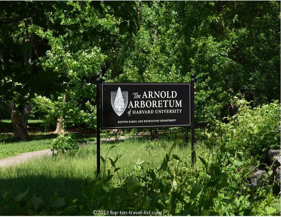 Cover image of this place Arnold Arboretum
