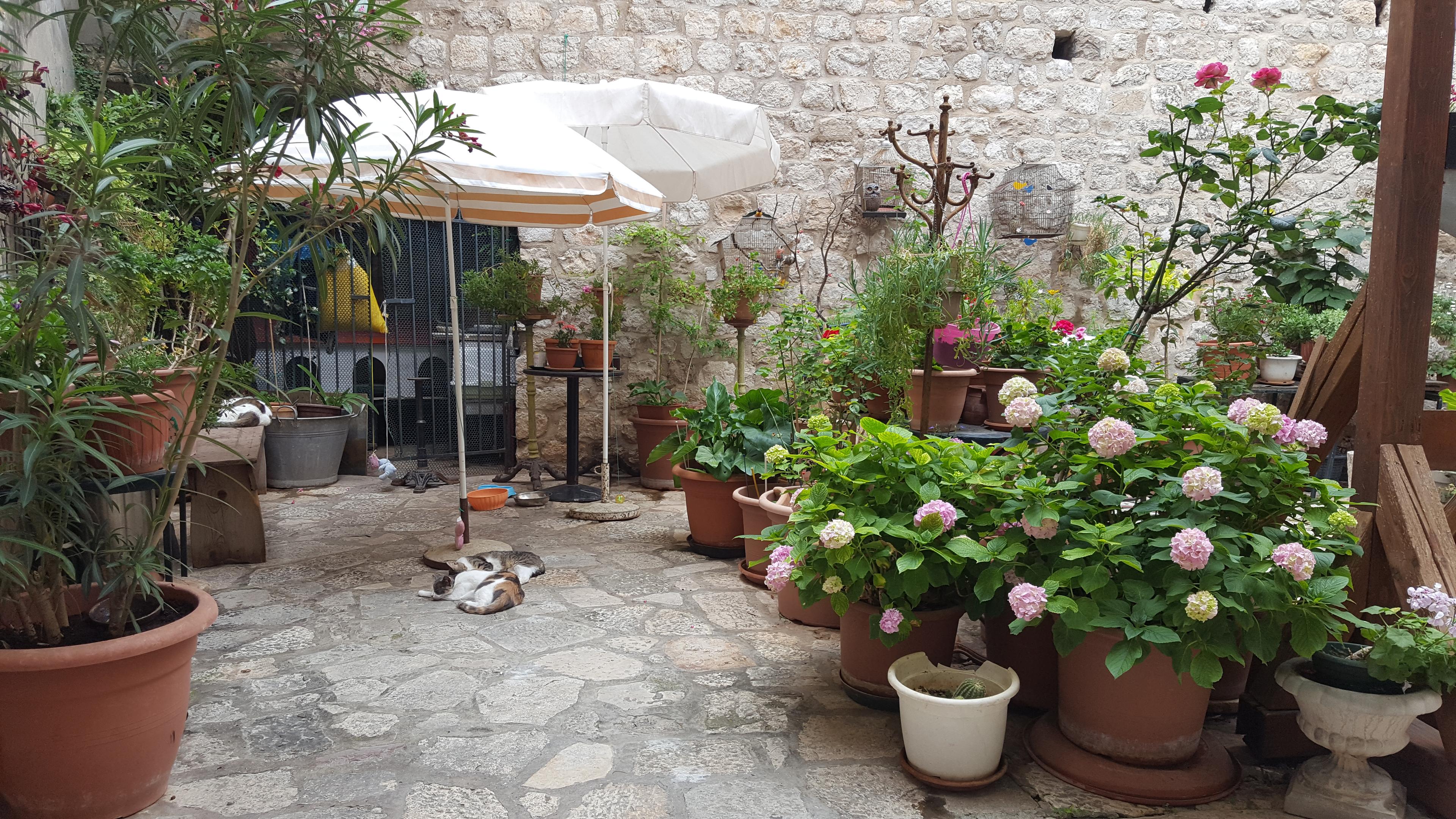 Cover image of this place Cogito Coffee Dubrovnik