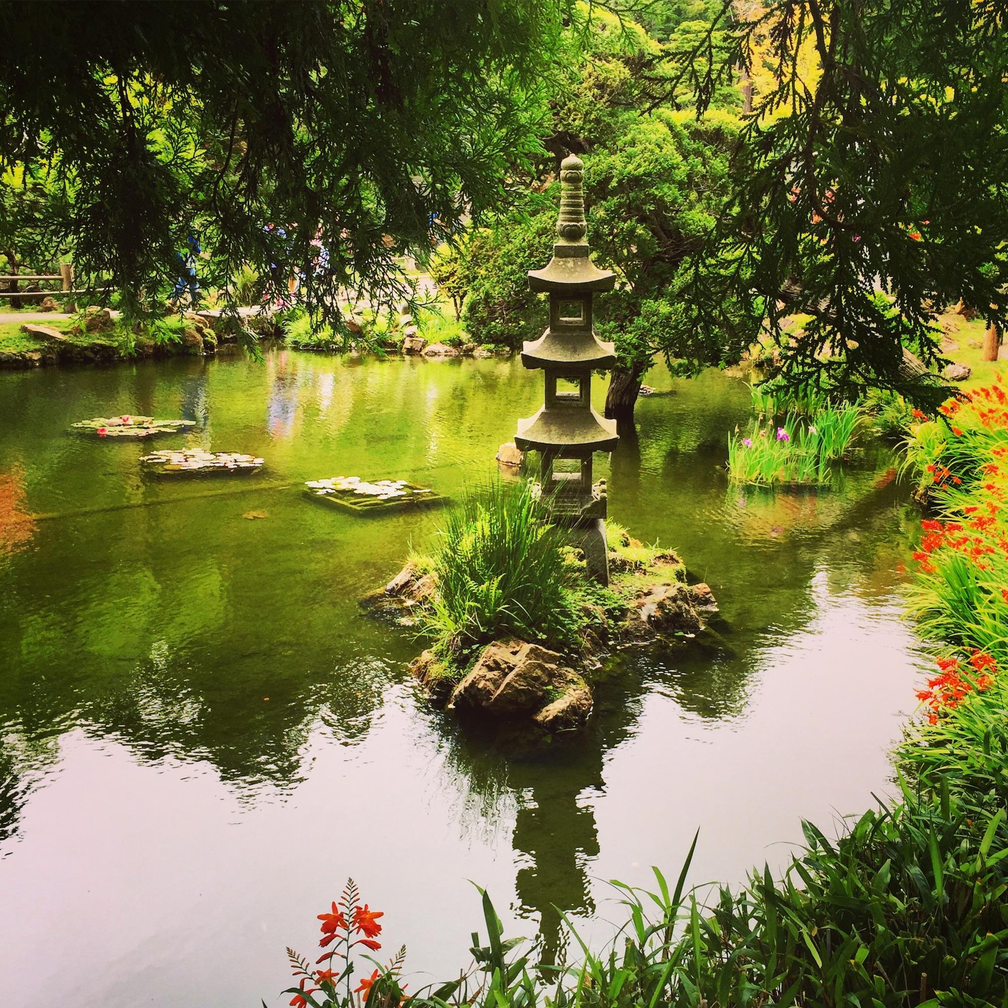 Cover image of this place Japanese Tea Garden