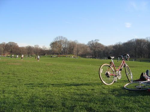 Cover image of this place Prospect Park