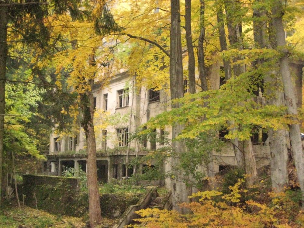 Cover image of this place Brestovac - Forgotten Sanatorium 