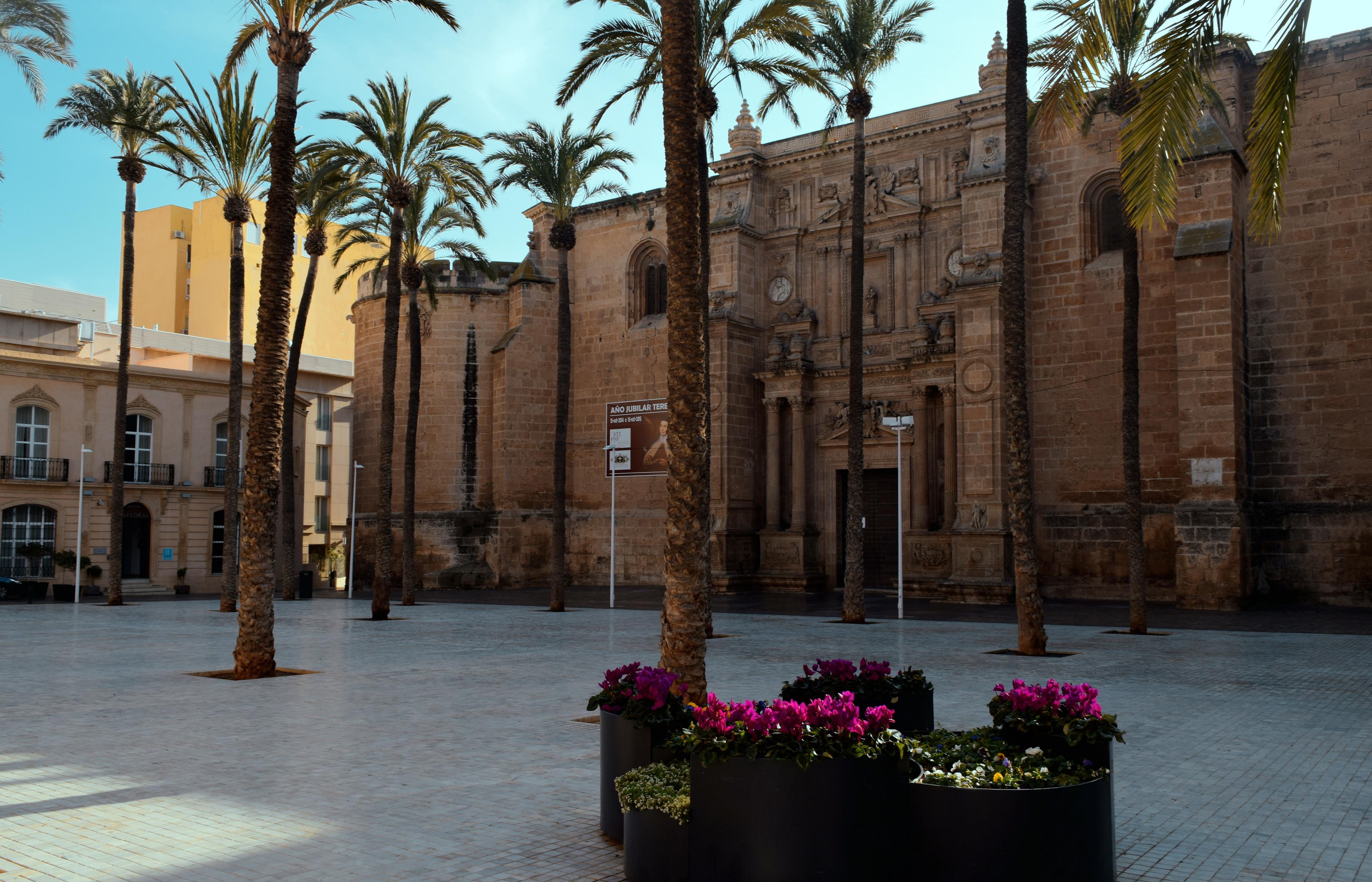 Cover image of this place Catedral de Almería