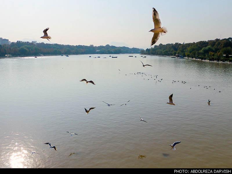 Cover image of this place Zayanderood (Zayandeh Rud) River