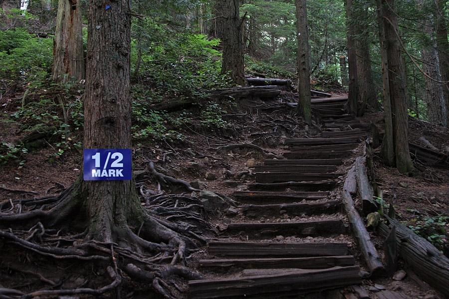 Cover image of this place Grouse Grind