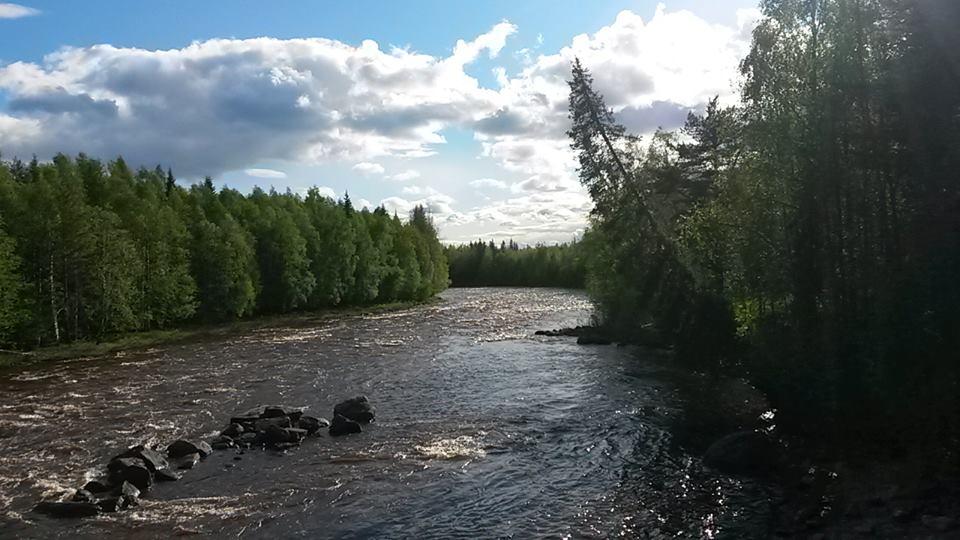 Cover image of this place Vikaköngäs 