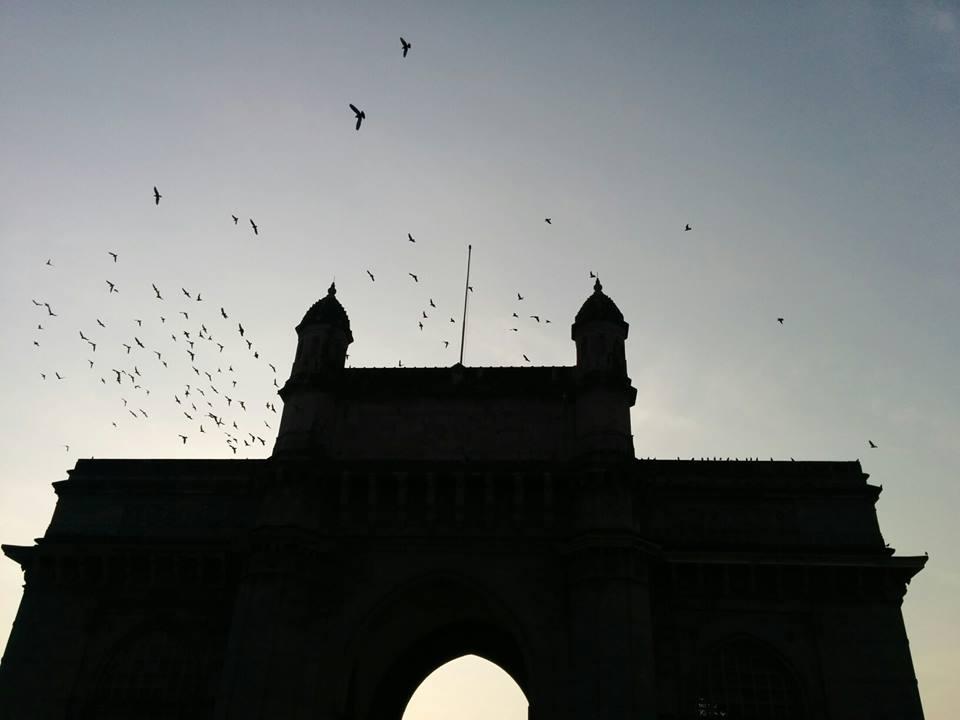 Cover image of this place Gateway of India