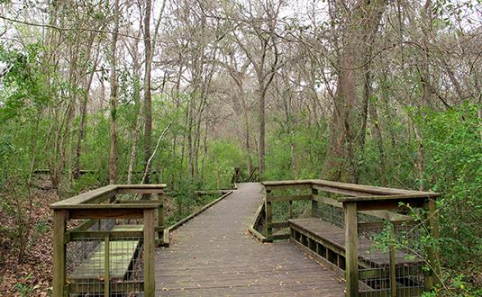 Cover image of this place Acadiana Park Nature Station