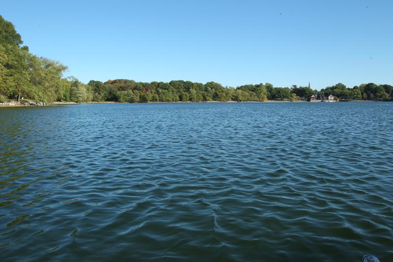 Cover image of this place Jamaica Pond