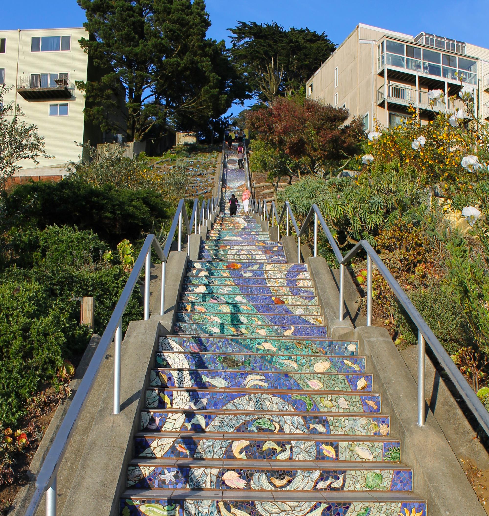 Cover image of this place The 16th Avenue Tiled Steps Project