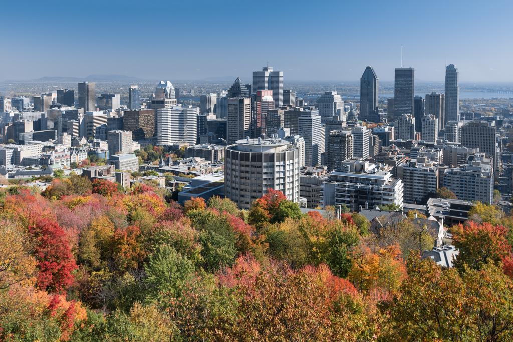 The Montreal city, cover photo