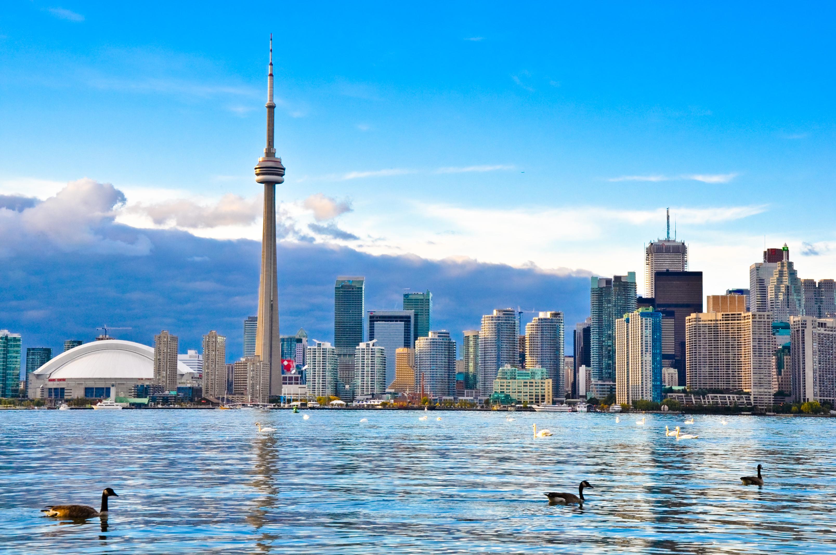 The Toronto city, cover photo
